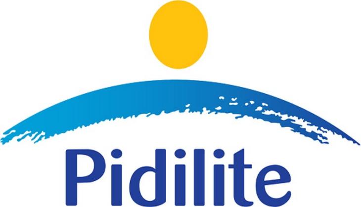 Pidilite Industries posts one pct decline in consolidated sales