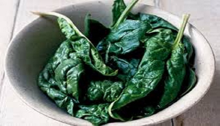 Eat spinach, avacados in 30's to counter cognitive aging