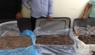 Three persons with Agarwood worth crores arrested in Delhi