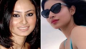 Here is a list of 10 Television actresses who drastically transformed after cosmetic surgery