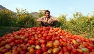 Amid Tomato crisis, buying tomatoes at 'Rs. 10 per kg is like a dream come true for people'