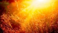 Scientists find new way to turn sunlight into fuel