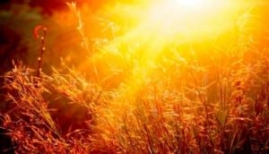 Scientists find new way to turn sunlight into fuel