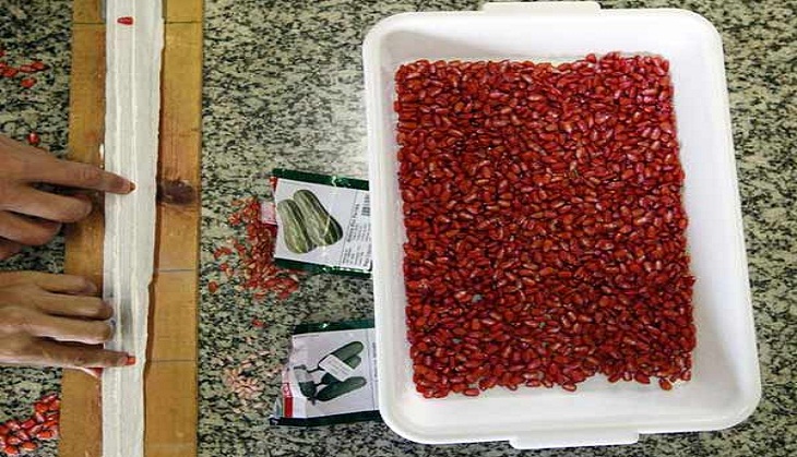 Five-day seed testing training programme inaugurated in Manipur