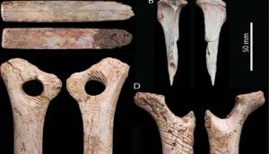 Prehistoric Britons ate their dead, carved patterns on bones