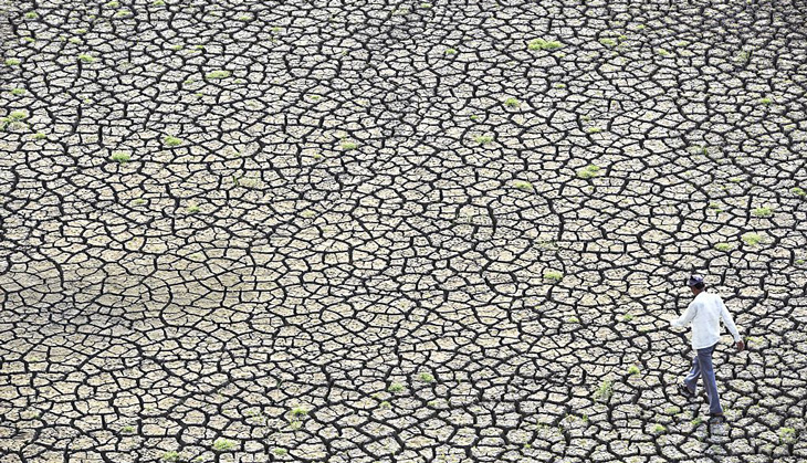 Marathwada reels under drought again: crops destroyed, farmers distressed