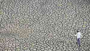 Marathwada reels under drought again: crops destroyed, farmers distressed