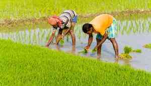Mamata govt waives off tax on agricultural land in Bengal