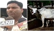 Chhattisgarh: BJP leader defends charges, after over 200 cows starve to death