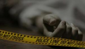 UP man hacks wife to death, leaves son in critical state after delay in serving him salad