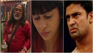 Bigg Boss: 9 contestants who shocked everyone by 'peeing' openly in the show