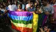 Will right to privacy really impact Section 377? LGBTQ community divided