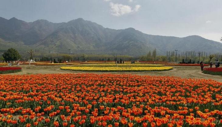 Kashmir's snow-less winter: Why this bodes ill for the Valley