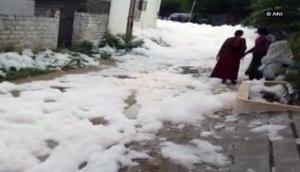 Hyderabad: Drain in Dharani Nagar spills thick toxic foam