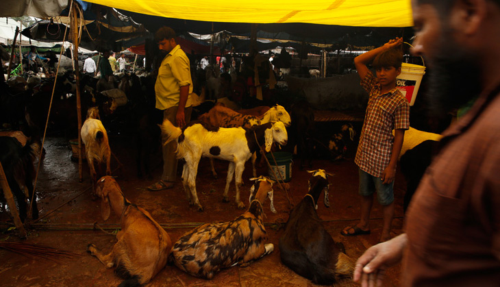 In photos: Not business as usual, but Delhi’s Bakra Mandi is ready for Eid