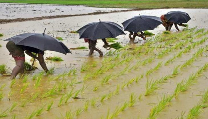 Parijat launches agrochemical products to reap benefits of good monsoon