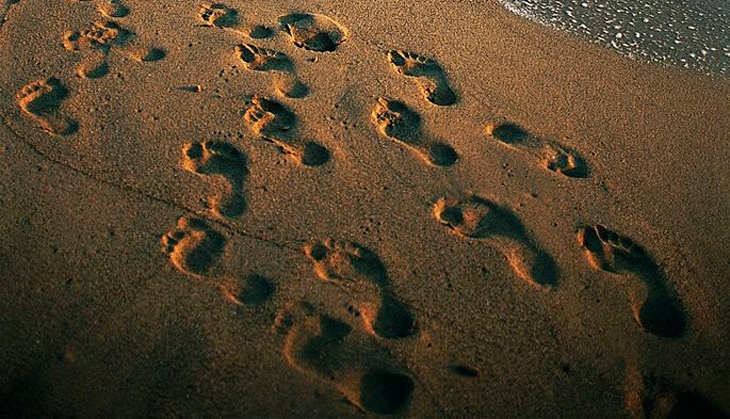 Our controversial footprint discovery suggests human-like creatures may have roamed Crete nearly 6m years ago