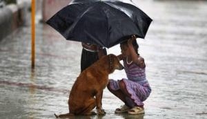 Be it Mumbai or Texas, they stood by their four-legged friends even in deluge 