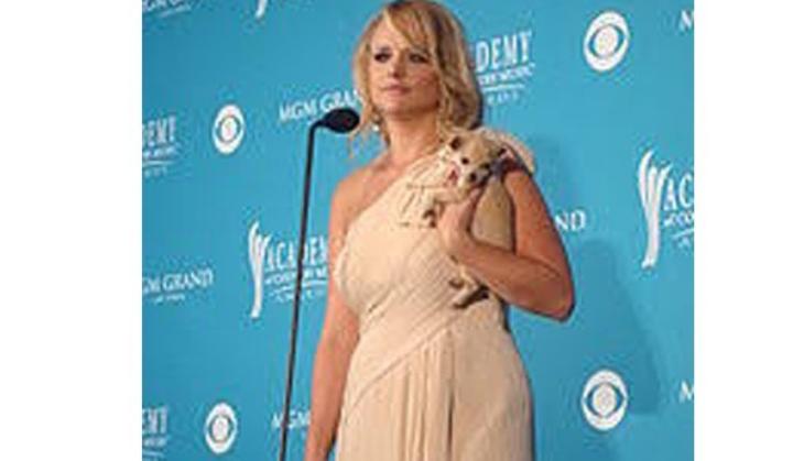 Miranda Lambert leads CMA Awards nomination