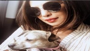 Priyanka Chopra feels like a 'nomad' in new Instagram still