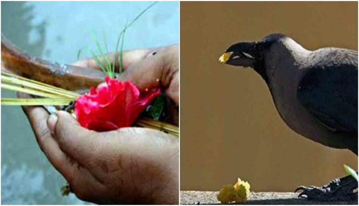 Shradh Puja 2017: 7 things that you must not do during this period