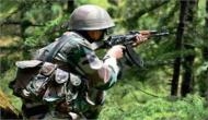 Jammu and Kashmir: 2 militants killed, 1 arrested during encounter in Kulgam