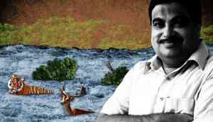 Gadkari gung-ho about linking rivers. But experts aren’t amused