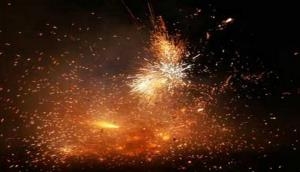 Supreme Court lifts ban on sale of firecrackers in Delhi NCR