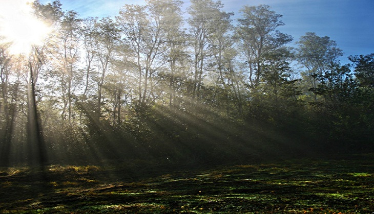 Vitamin D deficiency ups risk of multiple sclerosis in women