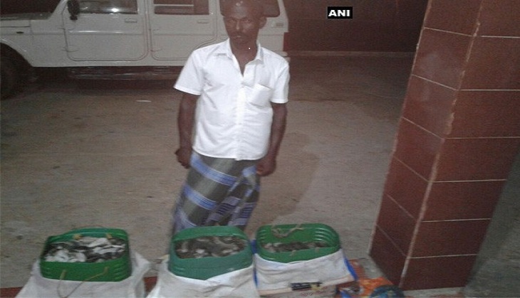 Police seize 100 kg gated sea cucumbers from TN village, one arrested