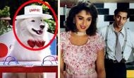 Here are 5 reasons why Tuffy from 'Hum Apke Hain Kaun' had the toughest life in the film