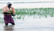 Floods in north and shortage of rainfall in southern states to affect Kharif output: ASSOCHAM