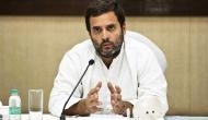 BJP taking credit for Congress' work in Amethi, says Rahul Gandhi