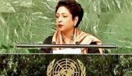 Will think about dealing with fake photos, says UNGA president after Pakistan's picture gaffe