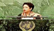 India to reply on Pakistan envoy Lodhi's goof up at UN