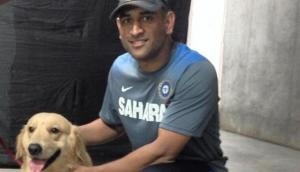 Revealed! Here is how MS Dhoni is going to celebrate Diwali with family