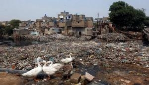 Chinese firm to lift Karachi's garbage