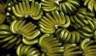 Lucknow: Local authorities ban sale of banana at Charbagh Railway station