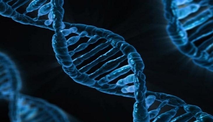 scientists find cause of autism in junk dna catch news
