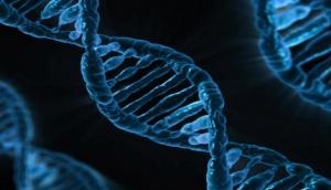 Study of individual DNA can translate into better healthcare