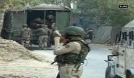 Jammu and Kashmir: Hizbul Mujahideen module busted by police