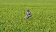 Farm loan waivers may be in focus. But will they do the trick