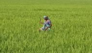 Over 2.69 lac farmers fail to get 1st tranche under PM-KISAN