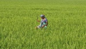 Over 2.69 lac farmers fail to get 1st tranche under PM-KISAN