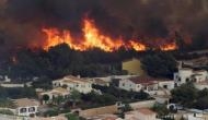 Spain: Wildfires kill 39 in Portugal