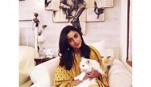 #poochoverpataka: Alia Bhatt's special Diwali campaign calls for animal safety