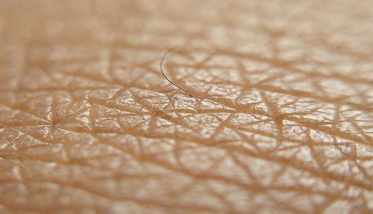 Inflammation may train skin to heal faster, suggests study
