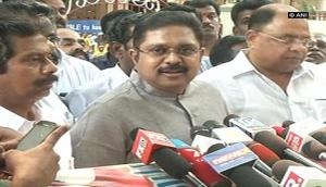 T.T.V Dinakaran to contest in RK Nagar bypoll