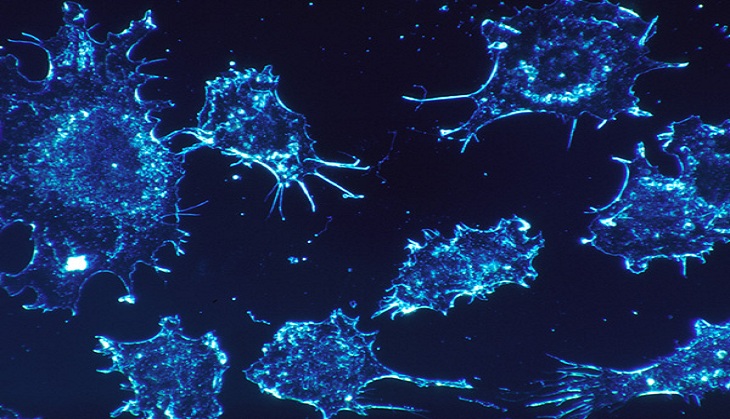 Proton therapy may be effective for treating cancer in elderly