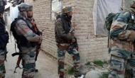 Security forces launch search operation in J-K's Shopian